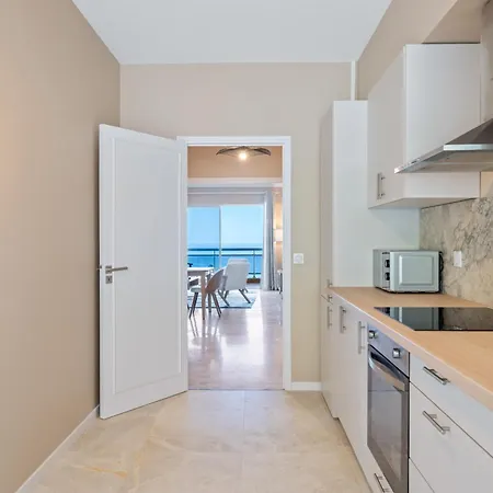 Panorama Et Cap D Ail Proche Monaco *