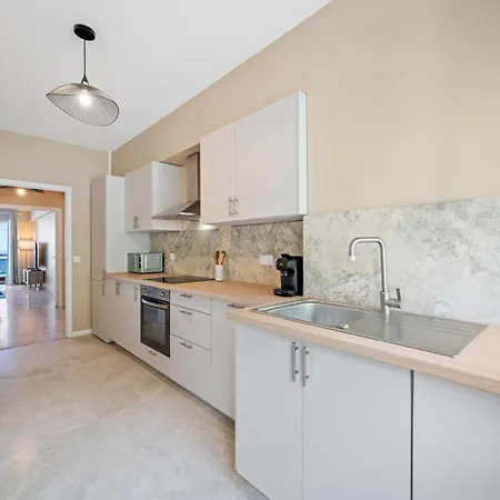 Panorama Et Cap D Ail Proche Monaco *