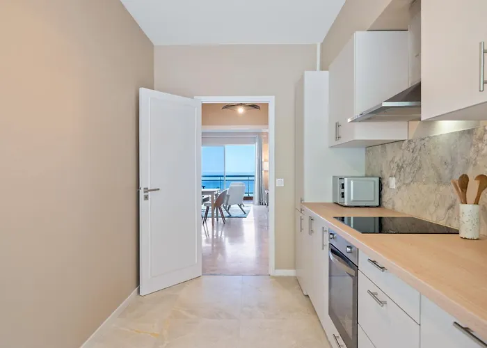 Panorama Et Cap D Ail Proche Monaco *