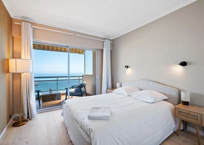 Panorama Et Cap D Ail Proche Monaco Apartment