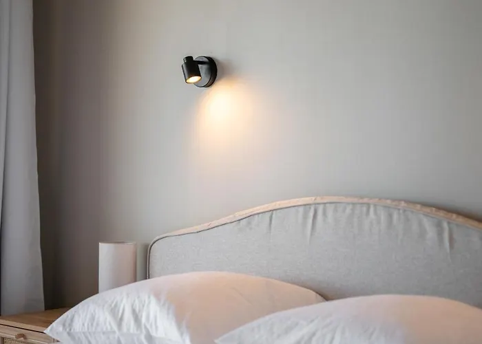 Panorama Et Cap D Ail Proche Monaco *