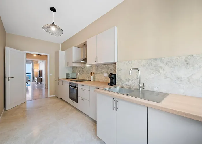 Panorama Et Cap D Ail Proche Monaco *